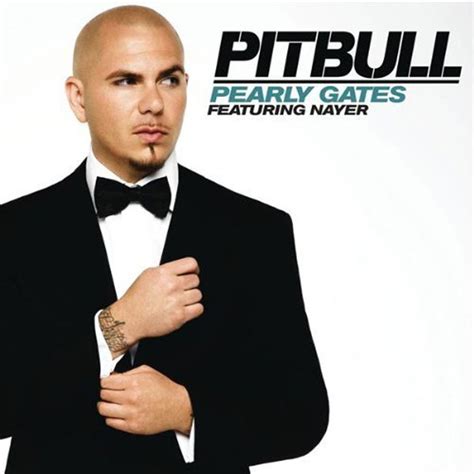 Pitbull Discography