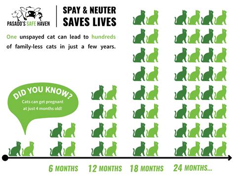 World Spay Month - Pasado's Safe Haven