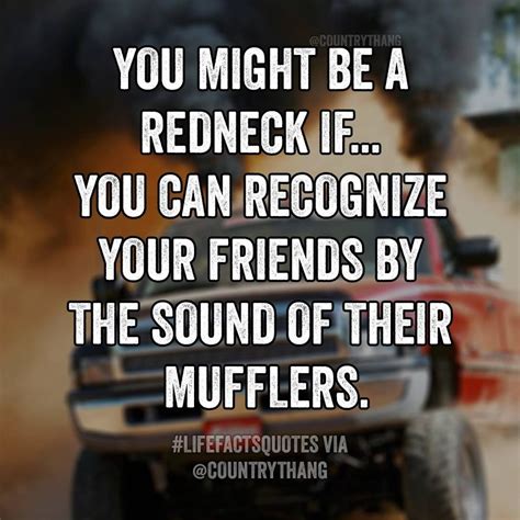 Funny Redneck Quotes And Sayings Shortquotescc