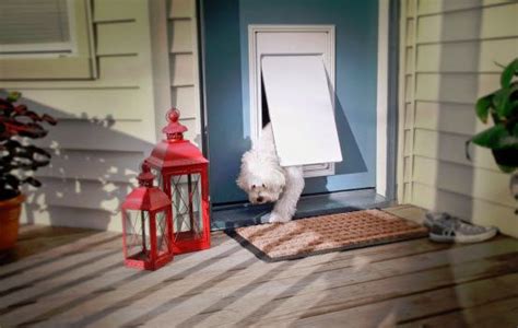 Check spelling or type a new query. Invisible Fence launches programmable electronic pet door ...