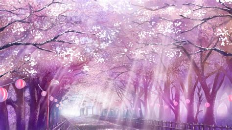 Anime Cherry Blossoms Wallpaper