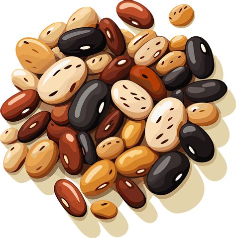 Pinto Bean Clipart