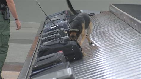 K9 Teams From Around Georgia Receive Paws On Training At Atlanta Airport