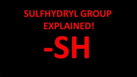Sulfhydryl Group Model