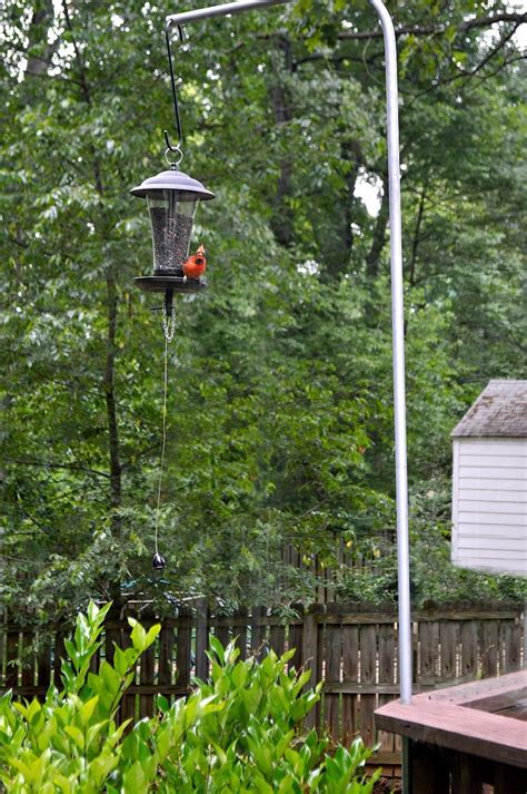 Make these 10 creative diy bird feeders for your feathered garden friends! Cottage Musings for June 2018 | Hanging bird feeder diy ...