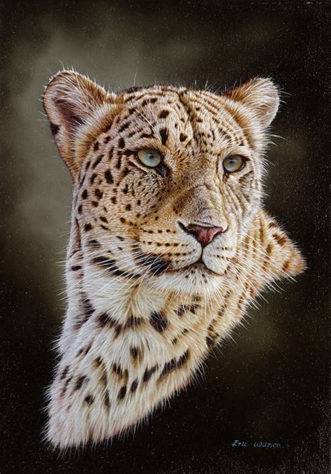 Wildlifeart Leopard Paintings Leopard Painting Leopard Artwork