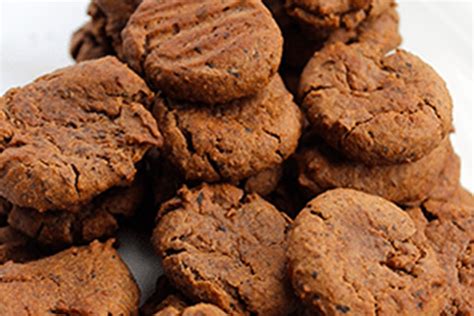 Grain Free Healthy Dog Biscuit Recipe