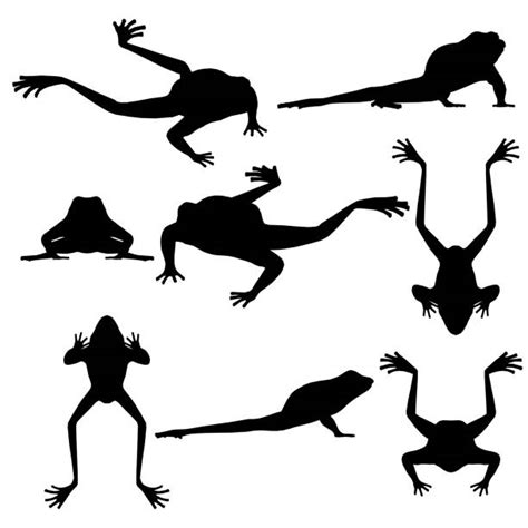 290 Frog Jump Silhouette Illustrations Royalty Free Vector Graphics