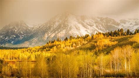 1097603 Sunlight Trees Landscape Forest Fall Mountains Sunset