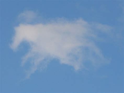 Cloud Lookalikes Pictures