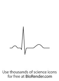 Normal Ecg Trace Hot Sex Picture
