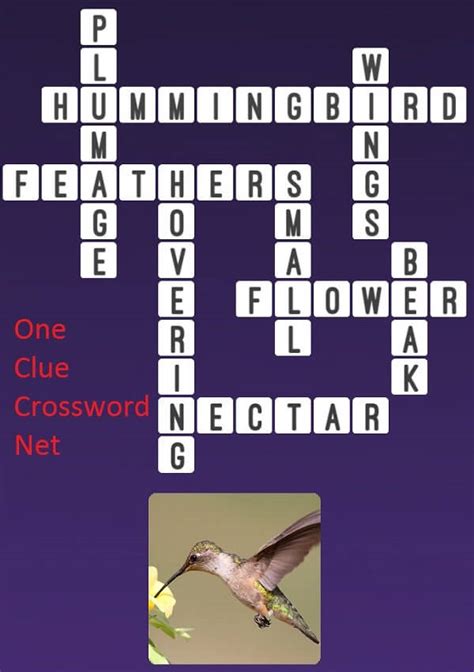 Hummingbird Get Answers For One Clue Crossword Now