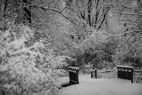 Winter Wonderland Photograph By Sebastian Musial Fine Art America