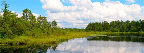 Brendan t byrne state forest campground is located at coopers road shamong, nj 8088. Brendan T. Byrne State Forest Guide | Outdoorsy