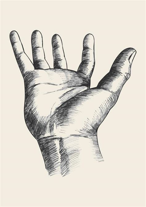 Hand Gesture Sketch Vector 1851211 Vector Art At Vecteezy