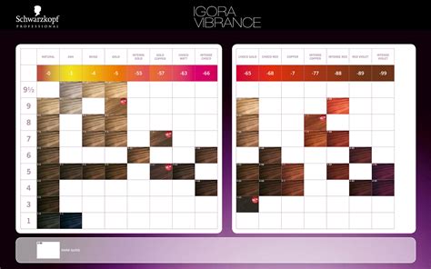 Schwarzkopf Professional Igora Vibrance Color Chart Nuancier Cheveux