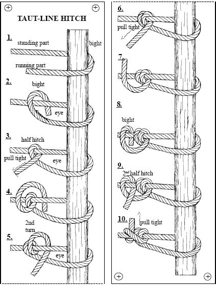 Knot tying has always been one of those key outdoor skills that the inexperienced take for granted. Taut Line-Hitch - If you are setting up a tent and you don ...