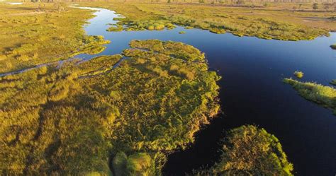 Save chief's guest house to your lists. When to visit the Moremi Game Reserve