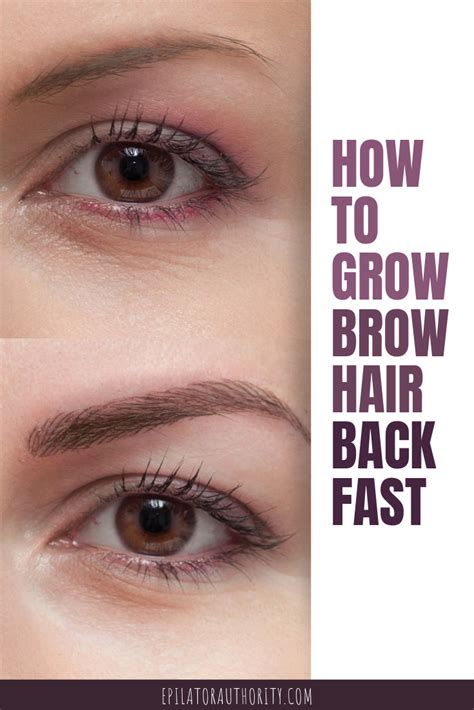 How To Grow Eyebrow Hair Back Fast The Ultimate Guide How To Grow