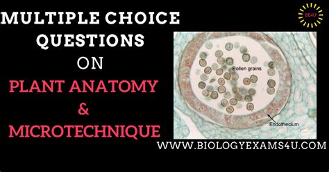 Mcq on plant cell biology. MCQ on Plant Anatomy and MIcrotechnique (Lecturer in ...
