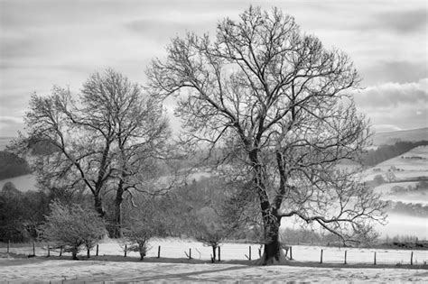 Taking Black And White Shots Of Snow Scenes Ephotozine