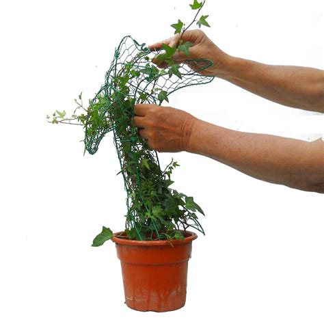 For flat forms like the circle, this step isn't necessary. How to Make an Ivy Topiary?