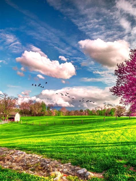 Free Download Landscape Beautiful Spring Nature Hd