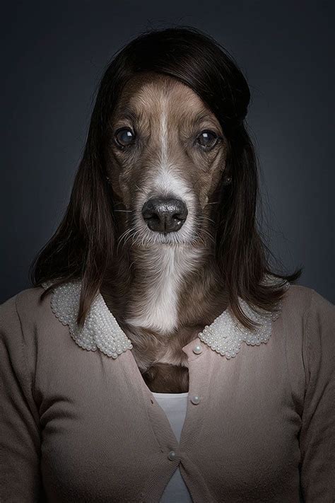 Funny Portraits Of Dogs Dressed Like Humans Dog Portraits Pet