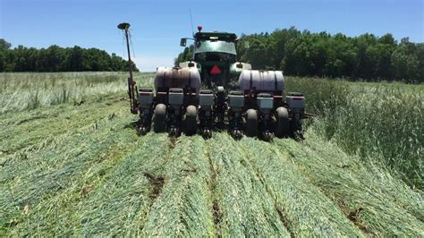 What is the best soil to grow grass? Roller Crimper No-Till Corn Planting - YouTube