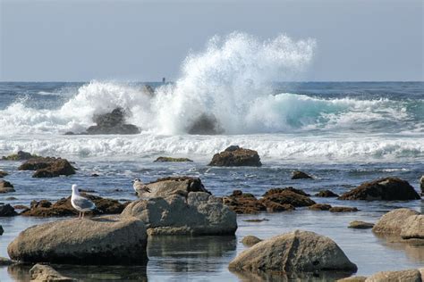 Pacific Grove CA - What to Do for a Day or Weekend