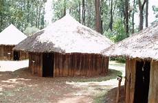 kikuyu tribe village africanas tribus kenyan tradion homestead kenia architecture boma saijiki