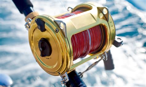 Best Saltwater Fishing Reels Aquaviews