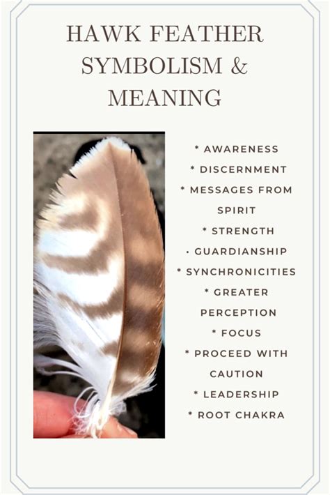 Hawk Feather Symbolism And Meaning Feather Symbolism Hawk Feathers