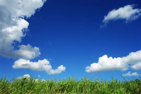 무료 이미지 수평선 식물 들 목초지 대초원 햇빛 목장 농업 평원 파란 하늘 선명한 생태계 녹색 풀