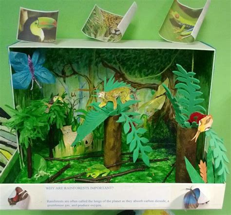 Rainforest Dioramas Are Often Made From An Old Shoe Box To Start With