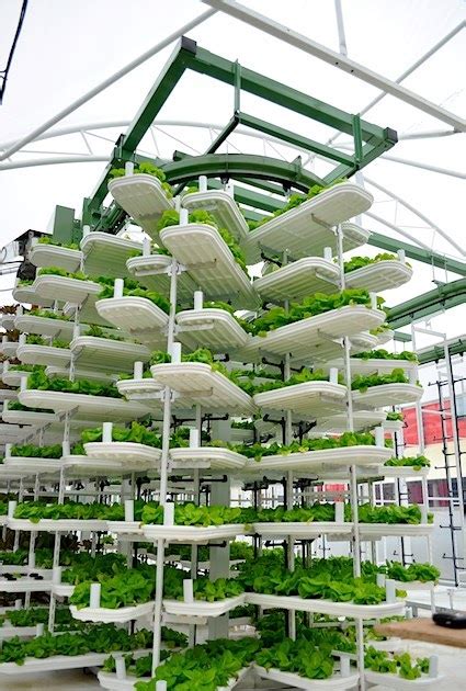 Recycled Minds Vertical Farming And The Future Of Food