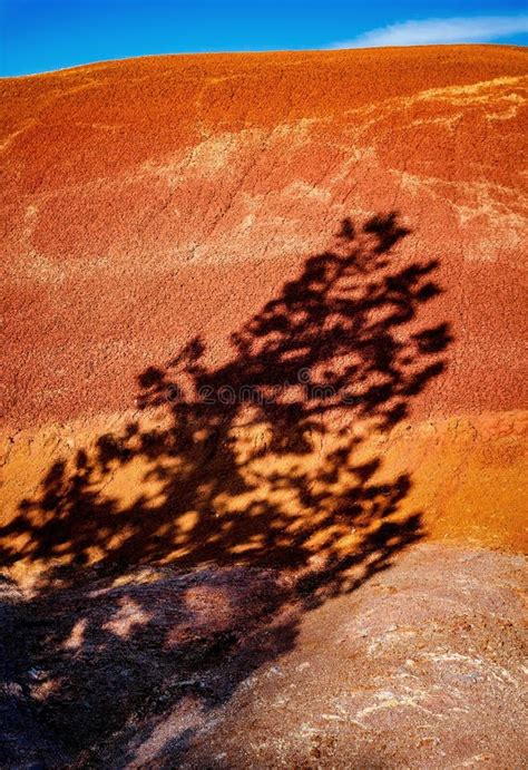 Shadow Of A Tree On A Red Sandstone Hill Stock Photo Image Of