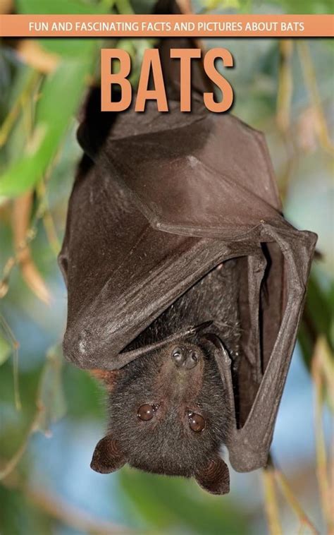 Bats Fun And Fascinating Facts And Pictures About Bats Ebook