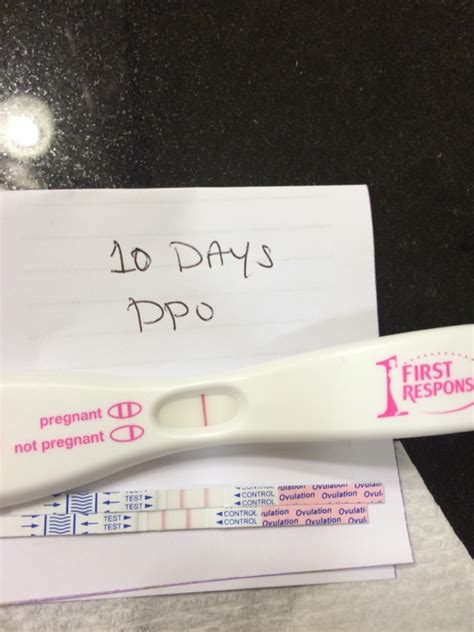 10 Days Post Ovulation Negative Pregnancy Test Pregnancywalls