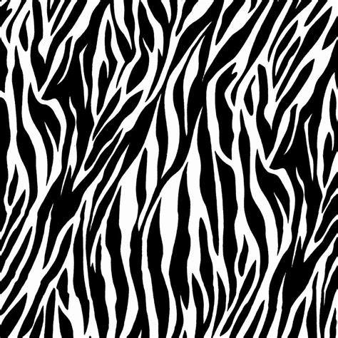 Zebra Wallpapers Wallpaper Cave
