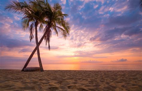 Wallpaper Sand Sea Wave Beach Summer Sunset Palm