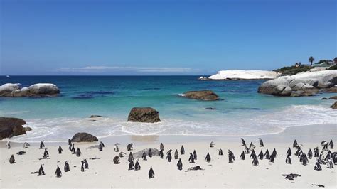 Best Holiday Destinations In South Africa 2023 Guide