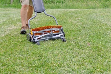 The Best Reel Mower For Your Small Lawn Reviews By Wirecutter