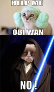 Grumpy Cat Memesgrumpy Cat Star Wars Memescosplay