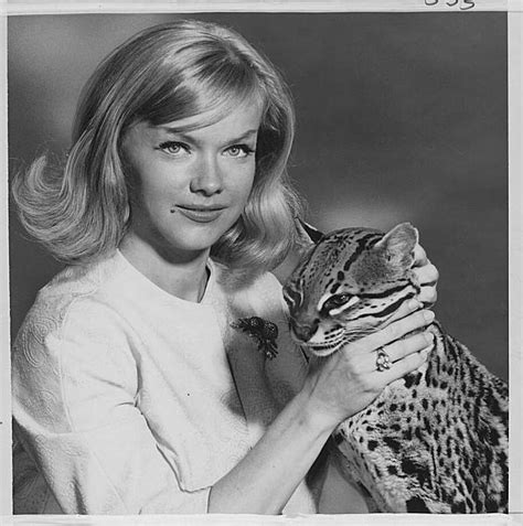 Anne Francis Film And Tv Actress Dies At 80 Sfgate