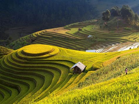Mu Cang Chai Named Among Worlds Most Beautiful Destinations Vietnam