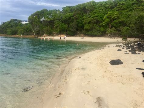 Gold coast, one the city in queensland, has. Things to do at Tallebudgera Creek - Gold Coast