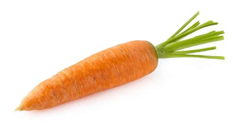 One Carrot Stock Photo By ©dionisvera 4459710