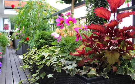 Balcony Garden Ideas Diy The Brown Gardener