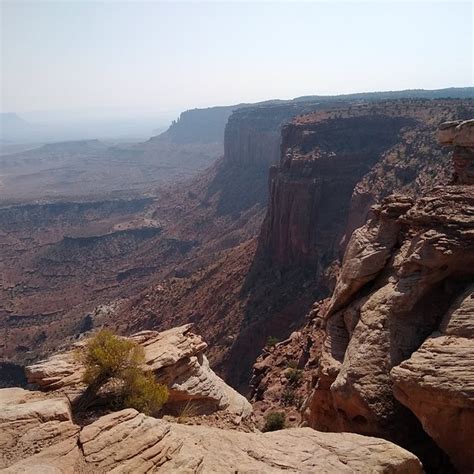 Grand View Point Overlook Parc National De Canyonlands Ce Quil Faut